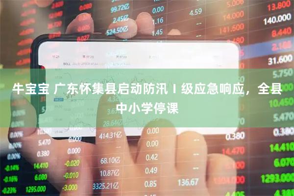 牛宝宝 广东怀集县启动防汛Ⅰ级应急响应，全县中小学停课