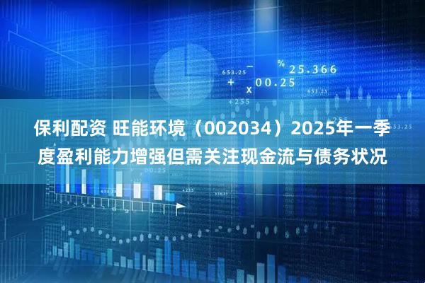 保利配资 旺能环境（002034）2025年一季度盈利能力增强但需关注现金流与债务状况