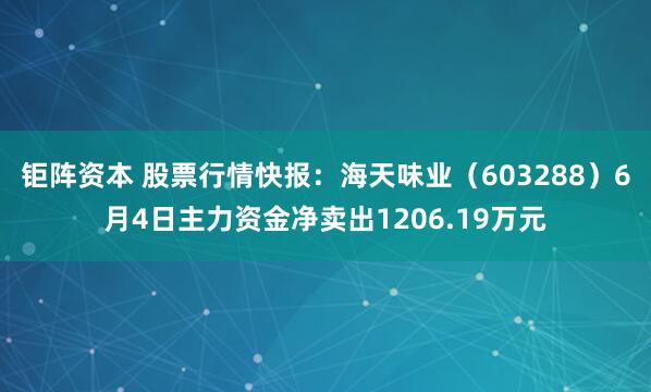 钜阵资本 股票行情快报：海天味业（603288）6月4日主力资金净卖出1206.19万元