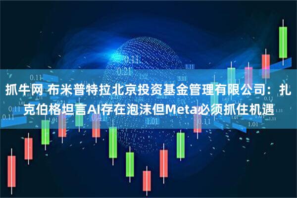 抓牛网 布米普特拉北京投资基金管理有限公司：扎克伯格坦言AI存在泡沫但Meta必须抓住机遇