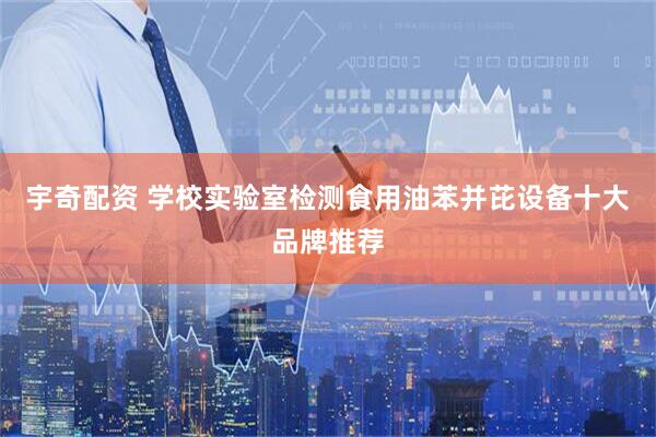 宇奇配资 学校实验室检测食用油苯并芘设备十大品牌推荐